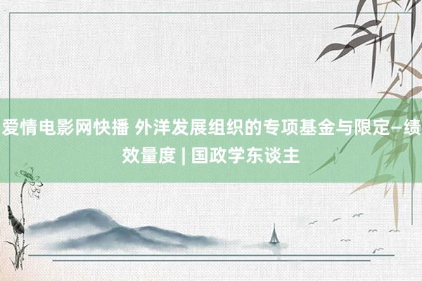 爱情电影网快播 外洋发展组织的专项基金与限定—绩效量度 | 国政学东谈主