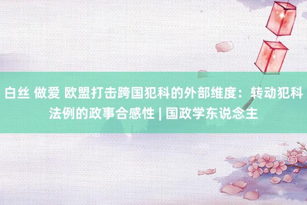 白丝 做爱 欧盟打击跨国犯科的外部维度：转动犯科法例的政事合感性 | 国政学东说念主