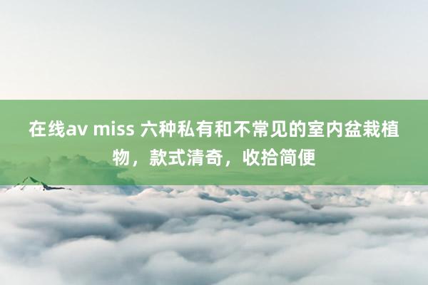在线av miss 六种私有和不常见的室内盆栽植物，款式清奇，收拾简便