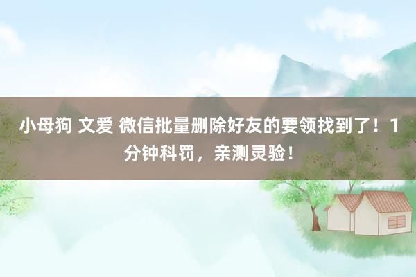 小母狗 文爱 微信批量删除好友的要领找到了！1分钟科罚，亲测灵验！