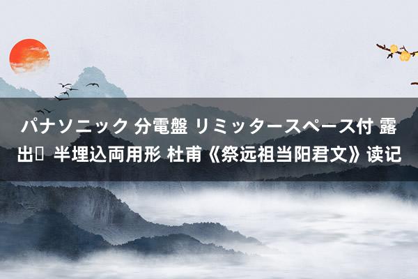 パナソニック 分電盤 リミッタースペース付 露出・半埋込両用形 杜甫《祭远祖当阳君文》读记