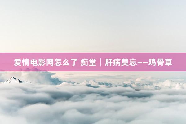 爱情电影网怎么了 痴堂│肝病莫忘——鸡骨草