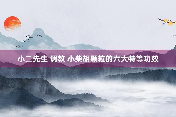 小二先生 调教 小柴胡颗粒的六大特等功效