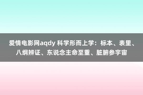 爱情电影网aqdy 科学形而上学：标本、表里、八纲辨证、东说念主命至重、脏腑参宇宙
