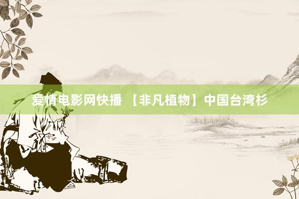 爱情电影网快播 【非凡植物】中国台湾杉